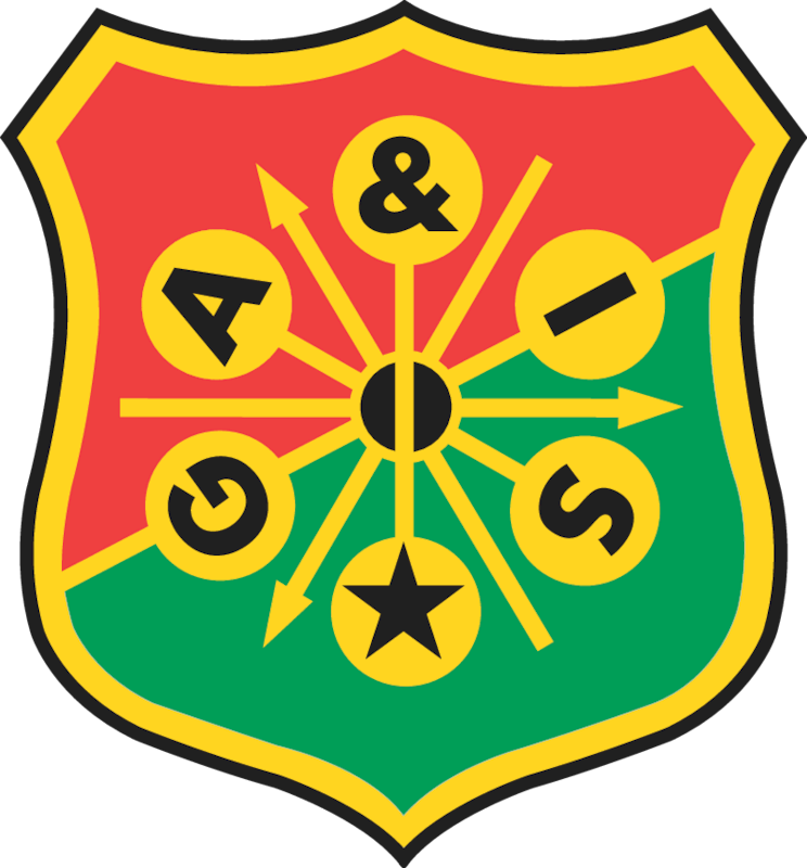盖斯